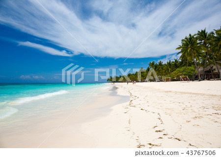 beach at Saona island, Dominican Republic beach at Saona island, Dominican Republic 43767506