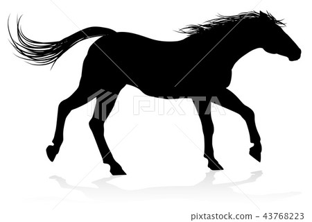 Horse Animal Silhouette 43768223