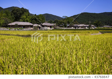 突出物秋天風景 突出物秋天風景 43768647