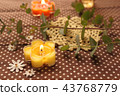 Eucalyptus and aroma candles 43768779