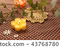 Eucalyptus and aroma candles 43768780