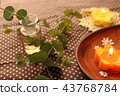 Eucalyptus and aroma candles 43768784