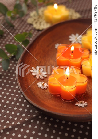Eucalyptus and aroma candles 43768786