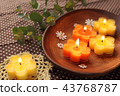 Eucalyptus and aroma candles 43768787