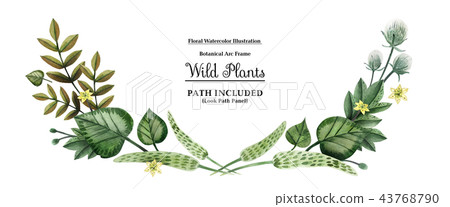 Wild Plants hand painted watercolor arc vingette Wild Plants hand painted watercolor arc vingette 43768790
