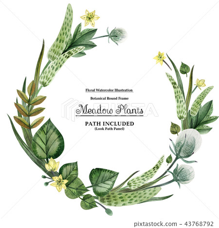 Wreaths from meadow plants for decoration 43768792