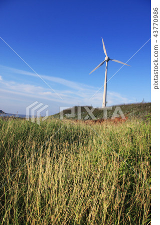 Zhongli Windmill-2 43770986