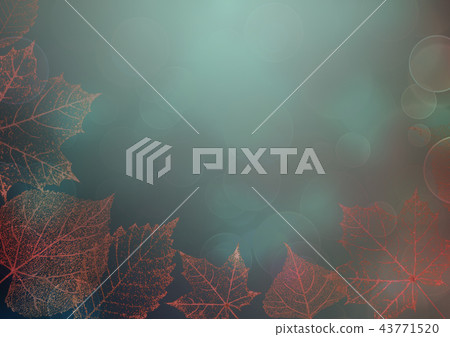 Autumn transparent skeleton leaves background Autumn transparent skeleton leaves background 43771520
