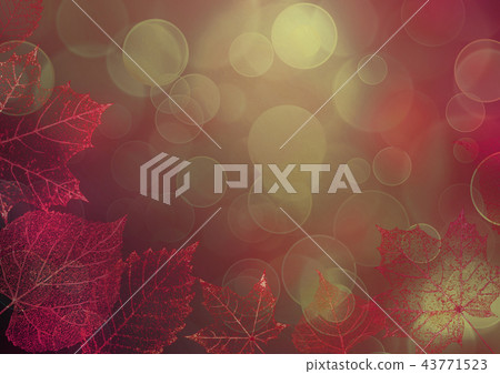 Autumn transparent skeleton leaves background Autumn transparent skeleton leaves background 43771523