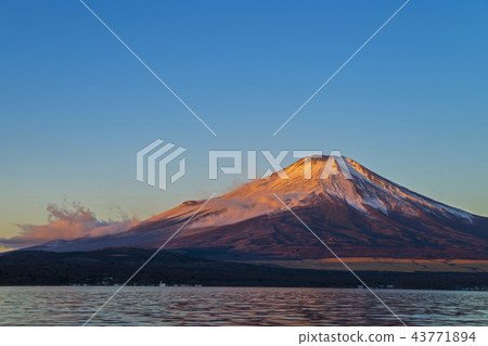 日出時的富士山 43771894