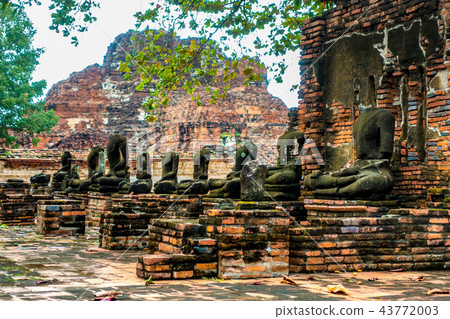 Wat Mahathat頭的雕象 43772003