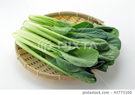 日本芥末菠菜 43773100