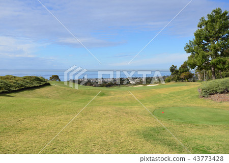 USA Los Angeles Pelican Hill Golf Resort 43773428