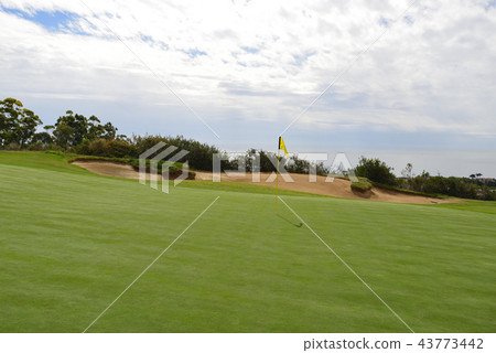 USA Los Angeles Pelican Hill Golf Resort 43773442