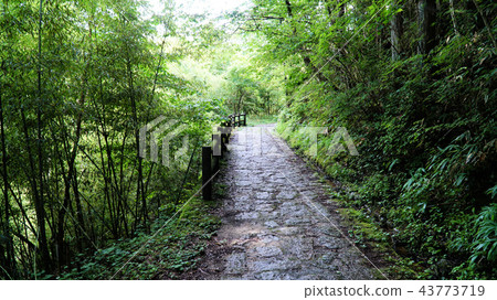 Nakasendo stone cobble 43773719
