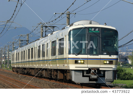 Series 221 Series 221 43773922