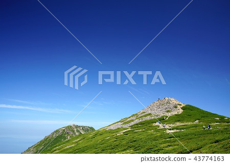 Norikura in summer Fujimi-dake (shooting location: Norikura Fujimi-dake) 43774163