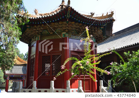 China Xi'an Xi'an Monumental Museum 43774840