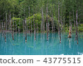  Biei-cho Blue Pond 43775515