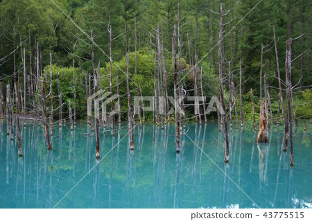  Biei-cho Blue Pond 43775515