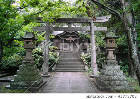 Nish Shimamae，Nishinoshima Yurahi Goddess Corporation 43775708