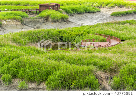 差距生態公園 43775891