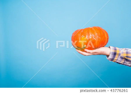 Farm, autumn and harvest concept - pumpkin in man's hand over blue background with copy space Farm, autumn and harvest concept - pumpkin in man's hand over blue background with copy space 43776261