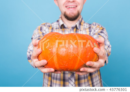 Close up of smiling man holding pumpkins over blue background, harvest concept Close up of smiling man holding pumpkins over blue background, harvest concept 43776301