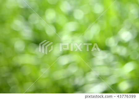 自然 翠綠 夏天 43776399