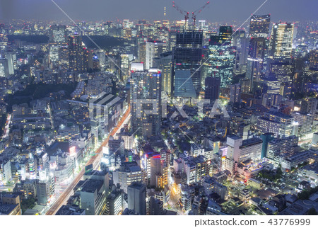 六本木夜景 43776999