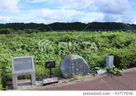 Kashiwa Bridge and Monument (Shimoda City, Shizuoka Prefecture) 43777056
