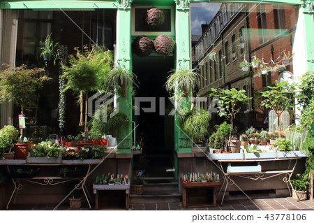 比利時花店 比利時花店 43778106