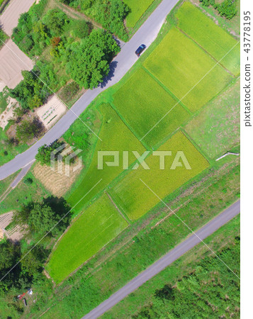 在鄉村/公路上跳舞 - 無人機(福島縣大沼郡會津美里町大士人物家族) 在鄉村/公路上跳舞 - 無人機(福島縣大沼郡會津美里町大士人物家族) 43778195