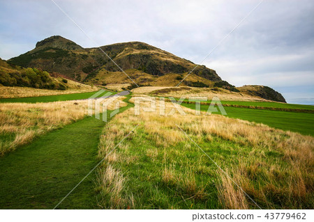 Arthur's Seat, green and yellow grass 43779462