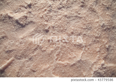 Salt Lake pink background texture n m 43779586