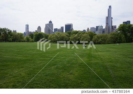 New York Central Park 43780164