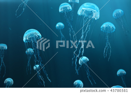 3D illustration background of jellyfish. Jellyfish swims in the ocean sea, light passes through the 43780381