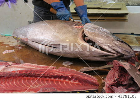 金槍魚 43781105