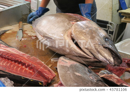 金槍魚 43781106