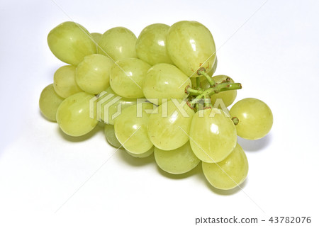 葡萄（羅薩里奧比安科） 43782076
