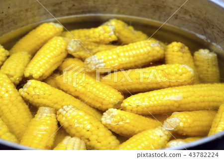 Boiled corn 43782224