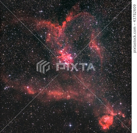 IC1805 Heart Nebula IC1805 Heart Nebula 43782609