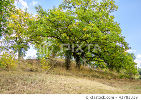 Valdermans Island 43783319