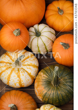 Pumpkins on wooden background Pumpkins on wooden background 43783348
