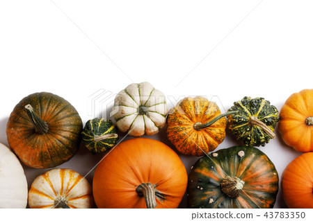 Many orange pumpkins 43783350