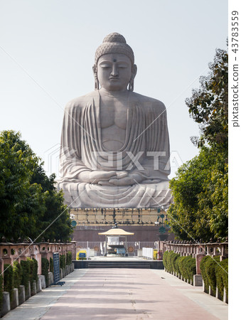 The Giant Buddha Statue and tiny chipmunk. 43783559
