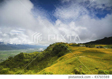 花蓮六十石山 花蓮六十石山 43783569