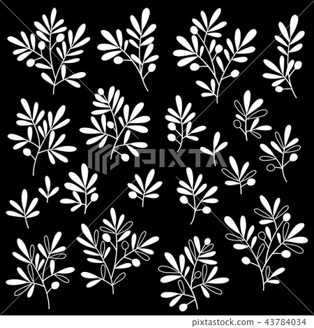 Illustration of plants Illustration of plants 43784034