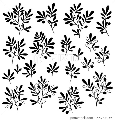 Illustration of plants Illustration of plants 43784036