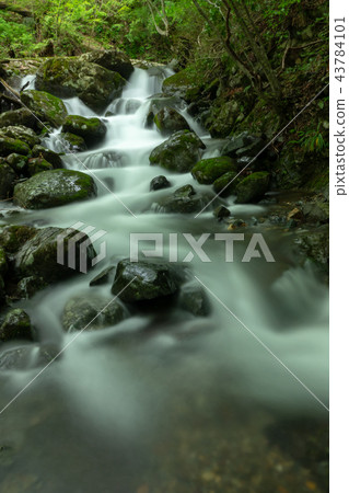 Gabion Falls Boardwalk 43784101